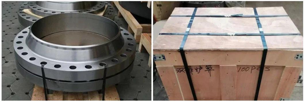 DN200 8 Inch Pn10 Flange Back Ring Carbon Steel S235jr Backing Ring Flange Restriction Orifice Carbon Steel Titanium Stainless Steel 304 Weld Neck Flange