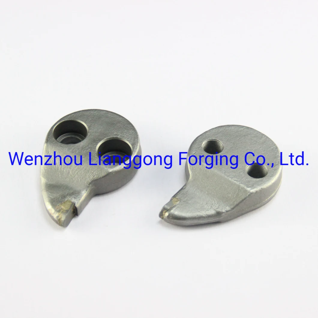 Custom Hot Die Carbon/Alloy/Stainless Steel Forged/Forging in Engineering&Construction Machinery/Agricultural Machinery/Vehicle/Valve/Machine/Machinery Parts